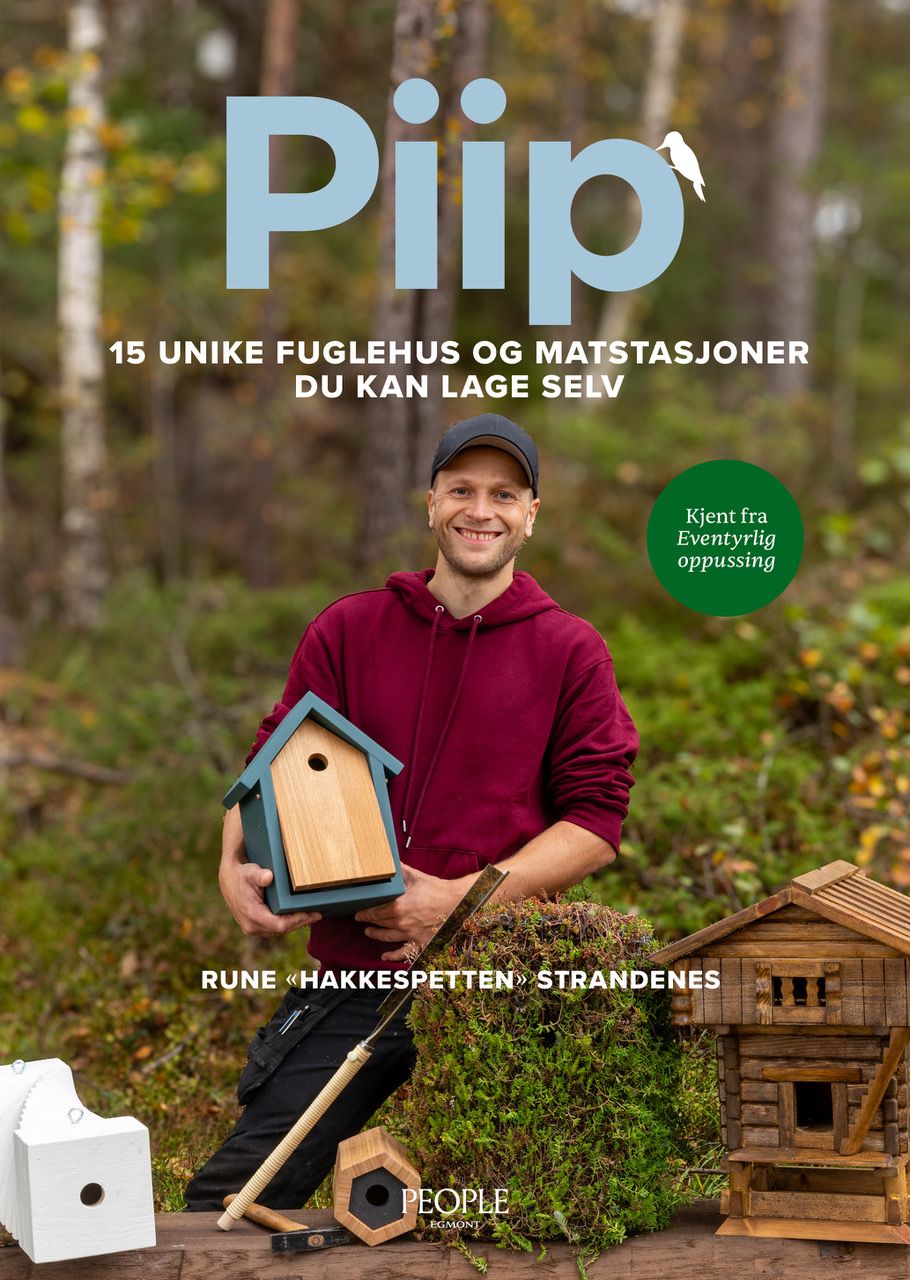 Piip - 15 unike fuglehus og matstasjoner du kan lage selv