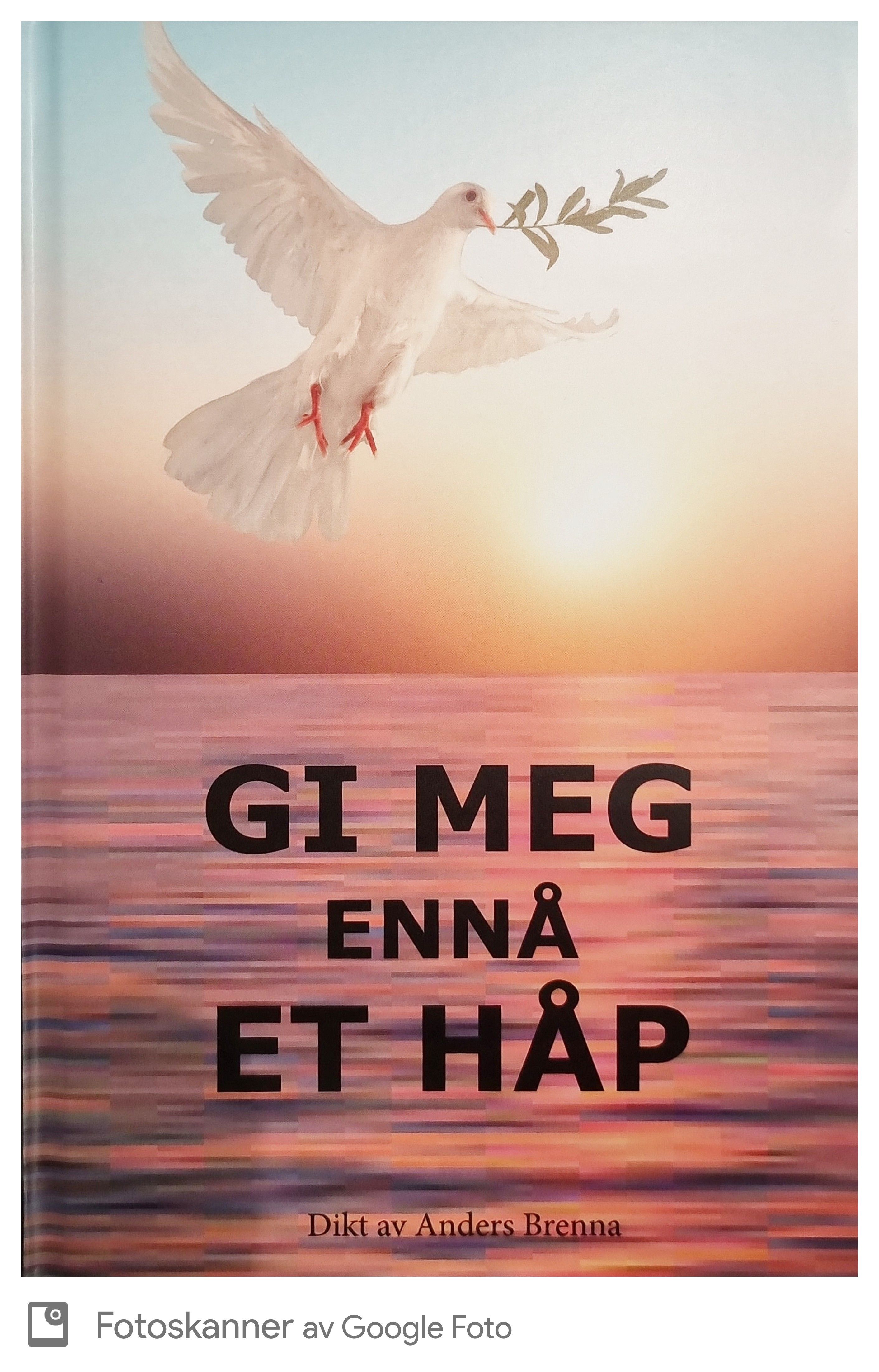 Gi meg ennå et håp - dikt