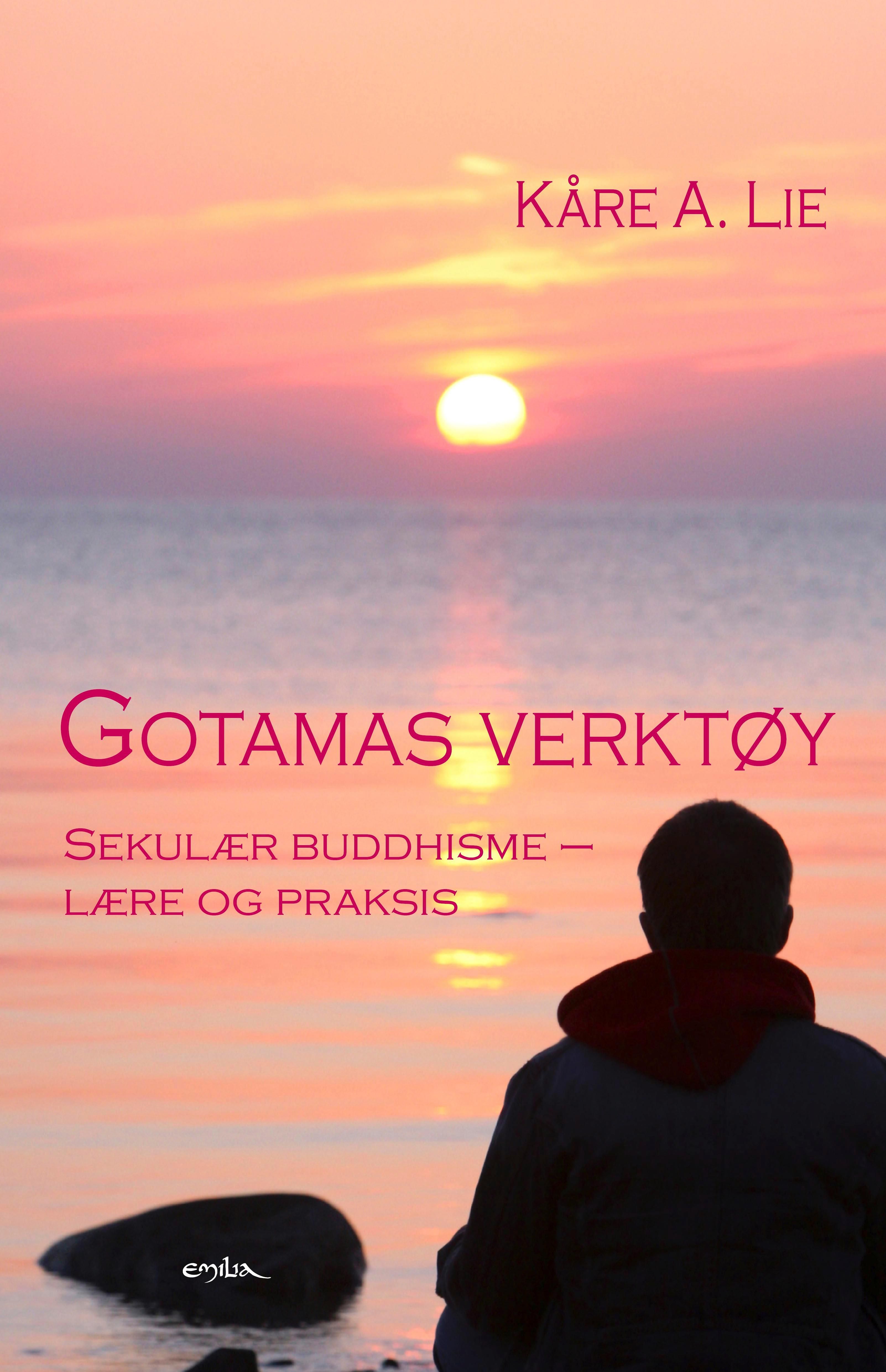 Gotamas verktøy - sekulær buddhisme - lære og praksis