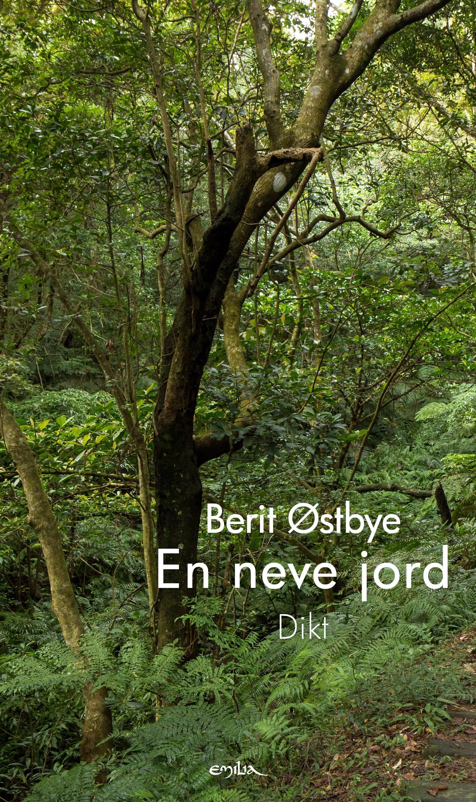 En neve jord - dikt