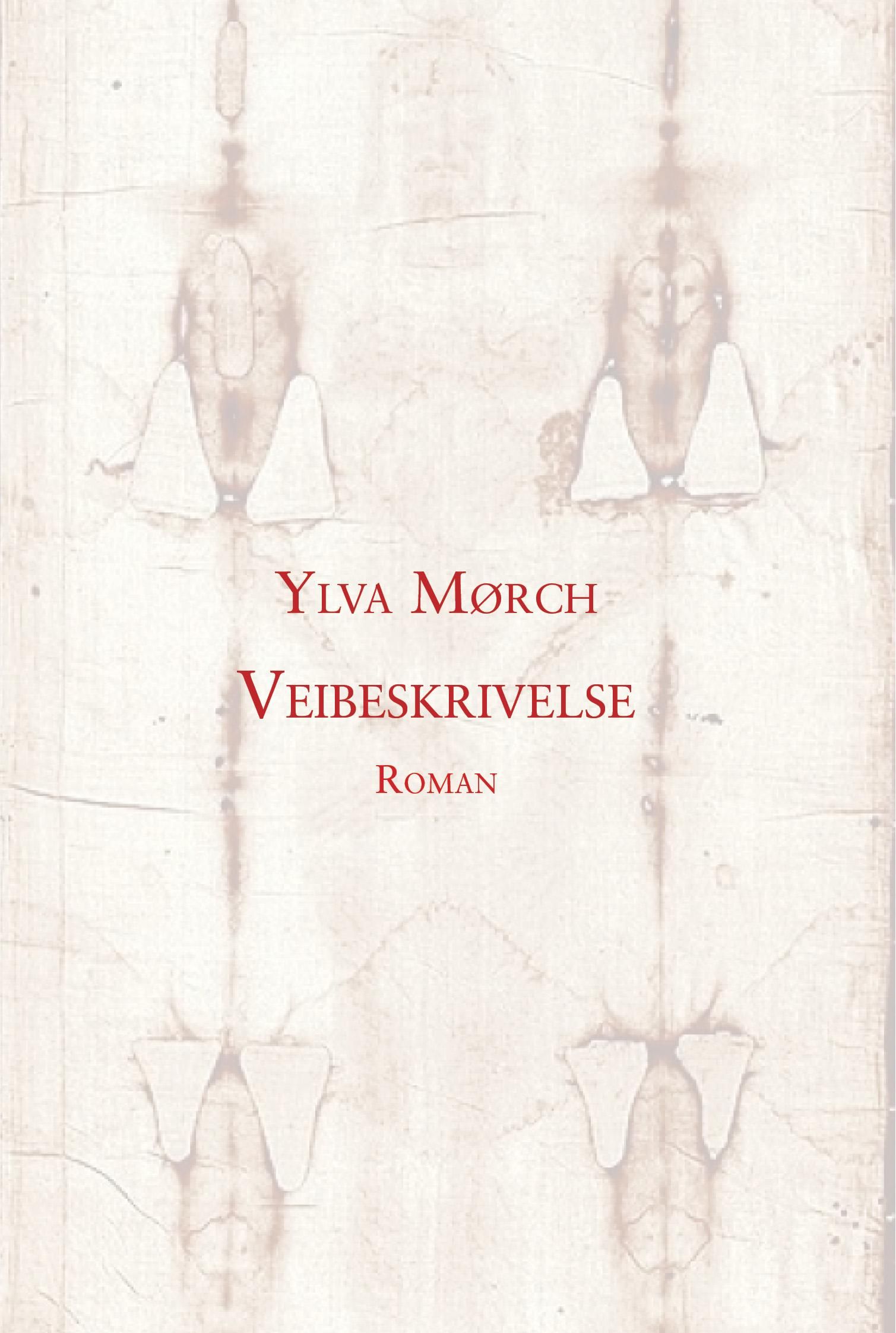 Veibeskrivelse - roman