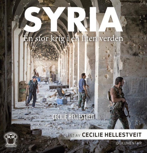Syria - en stor krig i en liten verden