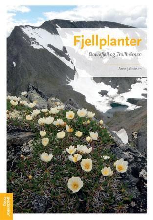 Fjellplanter - Dovrefjell og Trollheimen