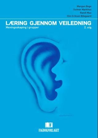 Læring gjennom veiledning - meningsskaping i grupper