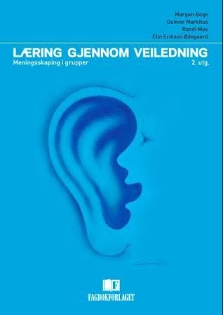 Læring gjennom veiledning - meningsskaping i grupper