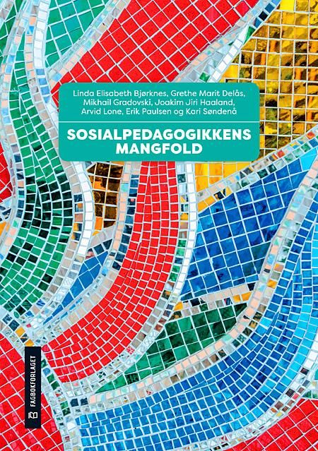 Sosialpedagogikkens mangfold