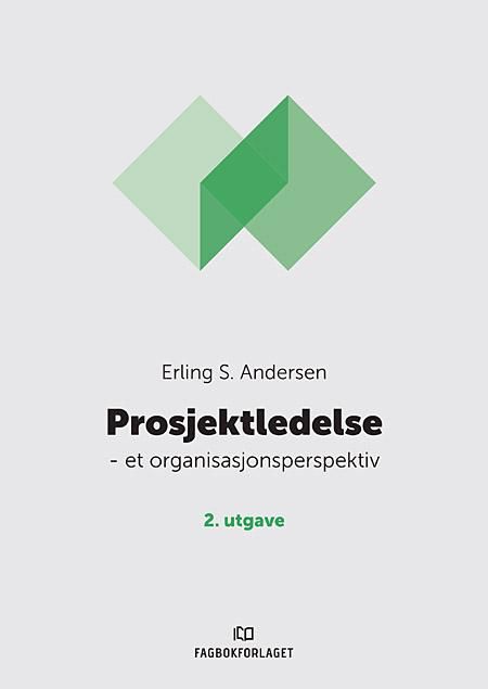 Prosjektledelse - et organisasjonsperspektiv