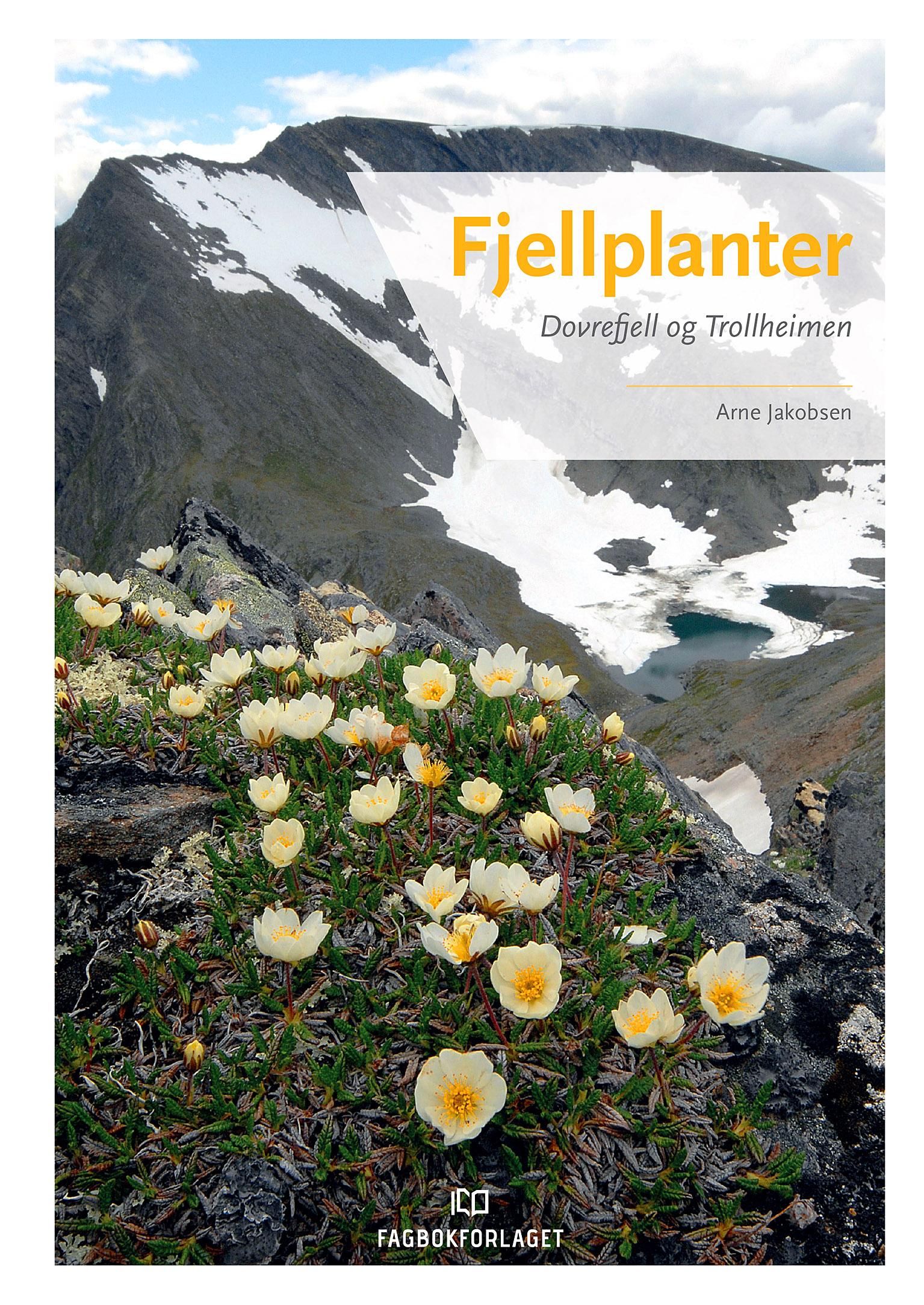 Fjellplanter - Dovrefjell og Trollheimen