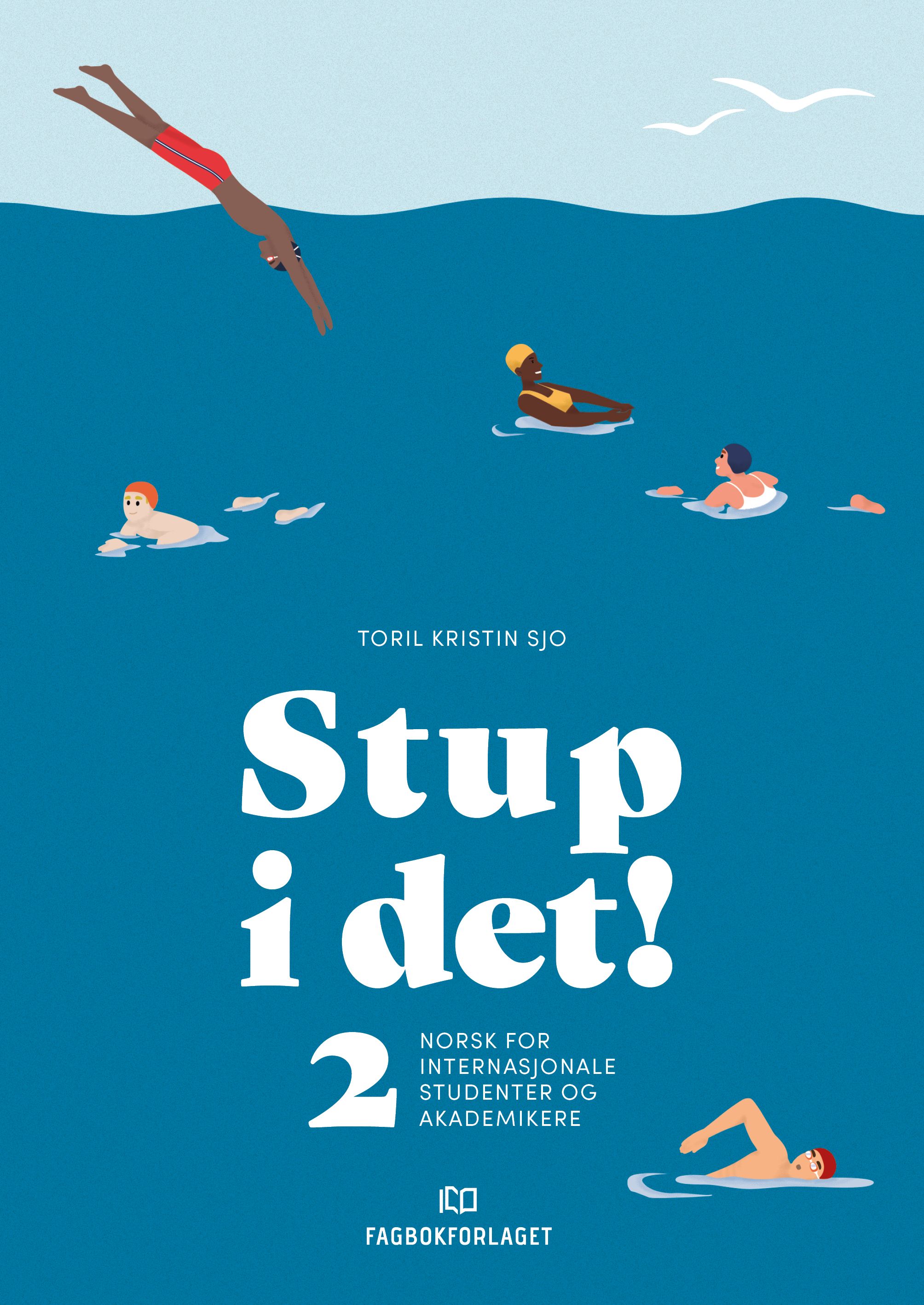 Stup i det! - 2 : norsk for internasjonale studenter og akademikere