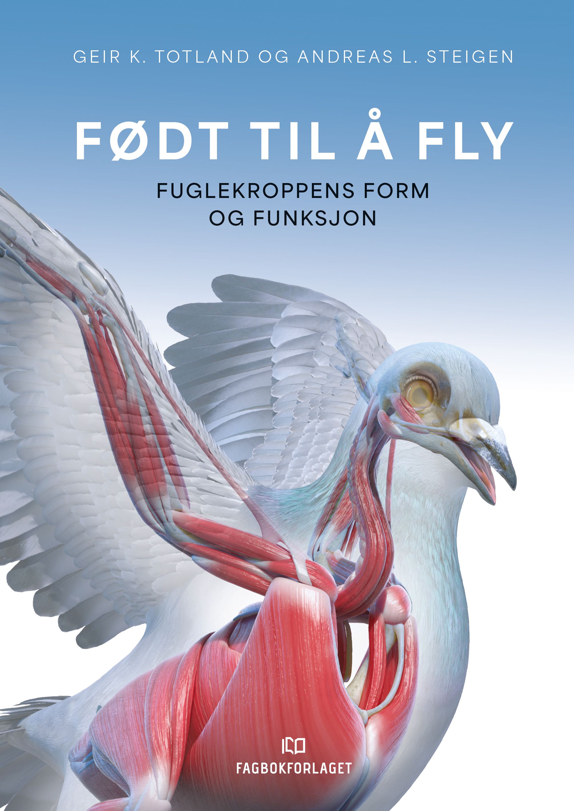 Født til å fly - fuglekroppens form og funksjon