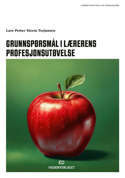 Grunnspørsmål i lærerens profesjonsutøvelse