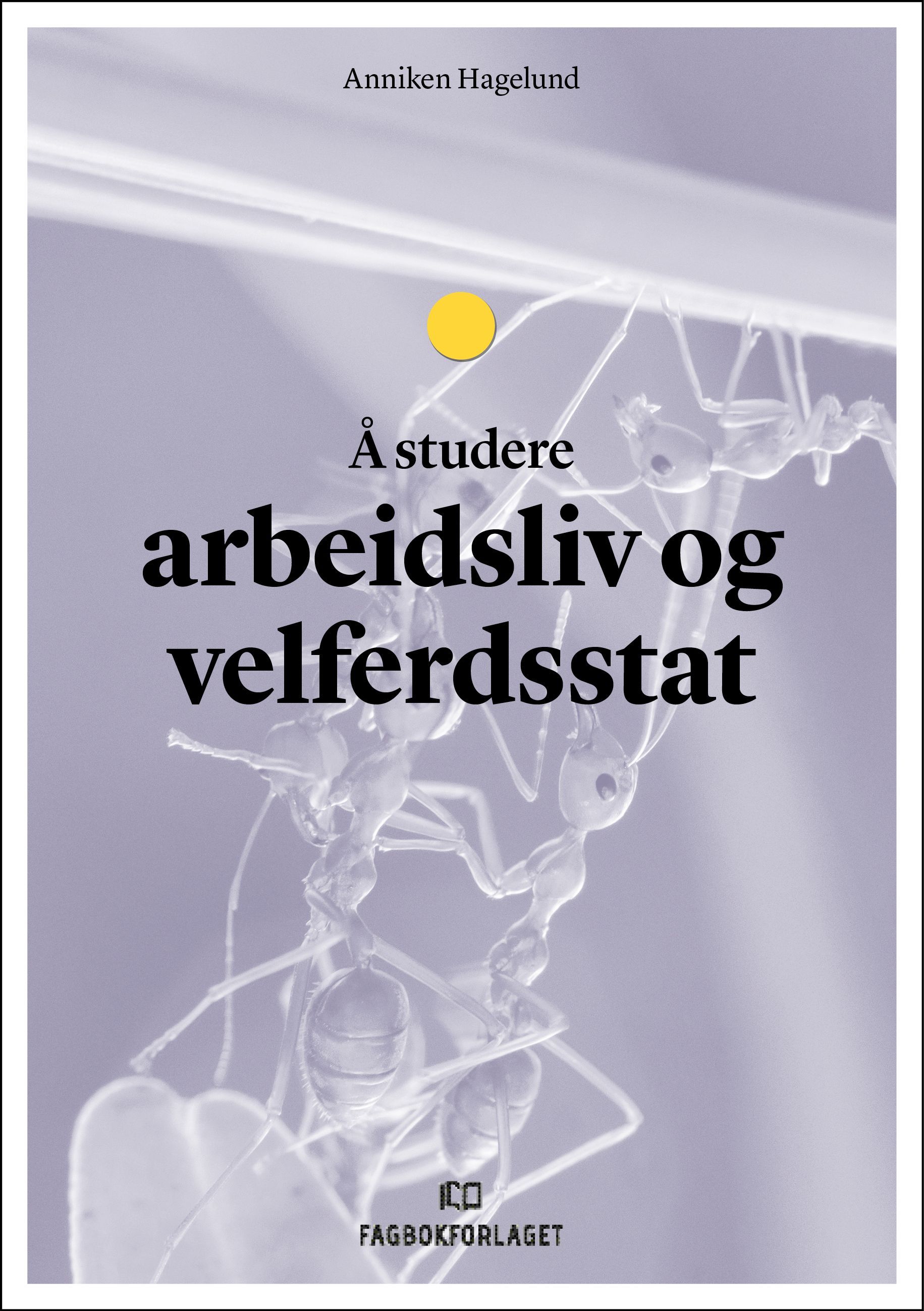 Å studere arbeidsliv og velferdsstat