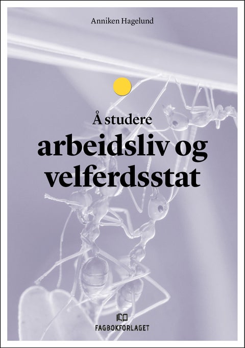 Å studere arbeidsliv og velferdsstat