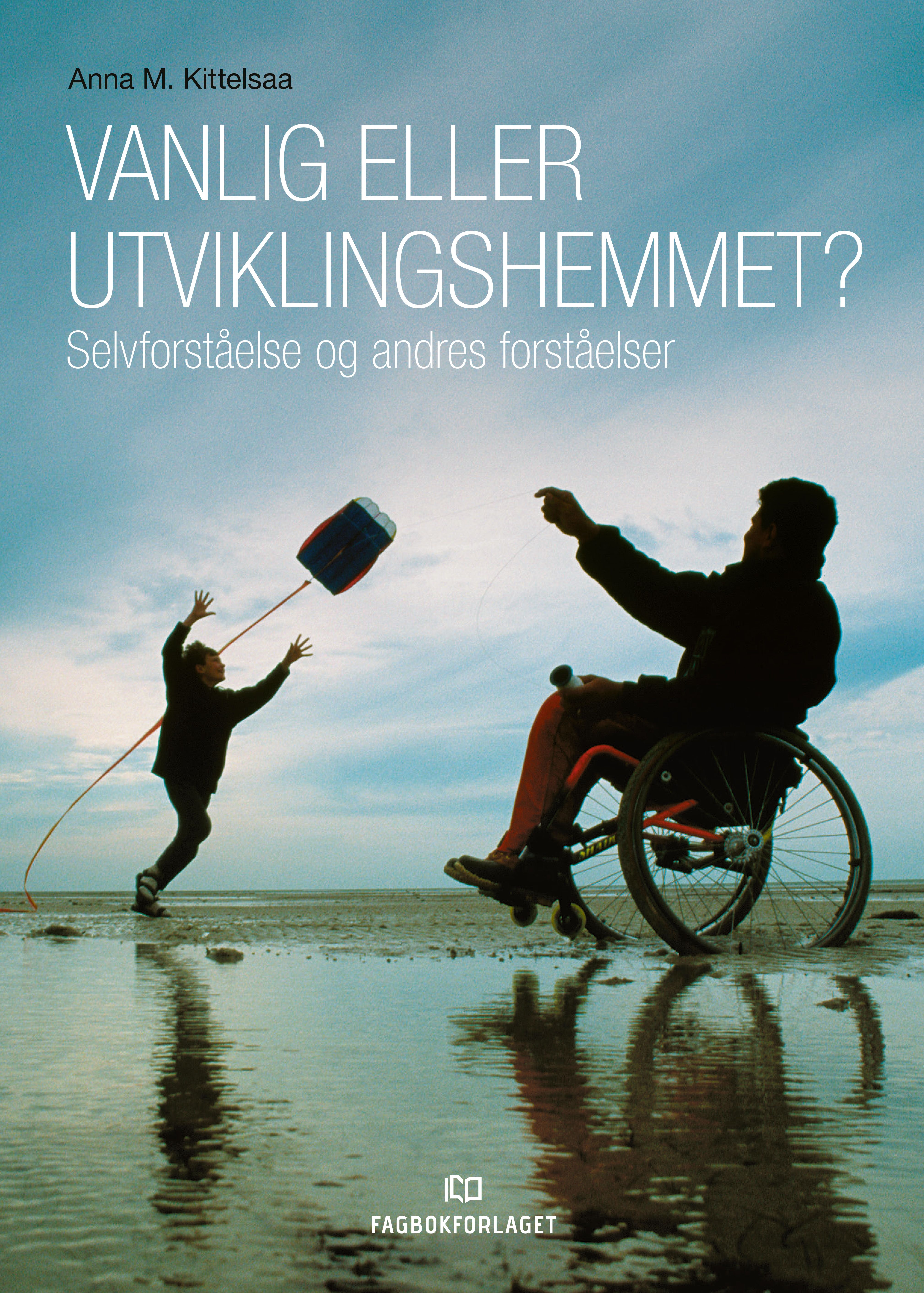 Vanlig eller utviklingshemmet? - selvforståelse og andres forståelser