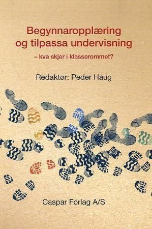 Begynnaropplæring og tilpassa undervisning - kva skjer i klasserommet?