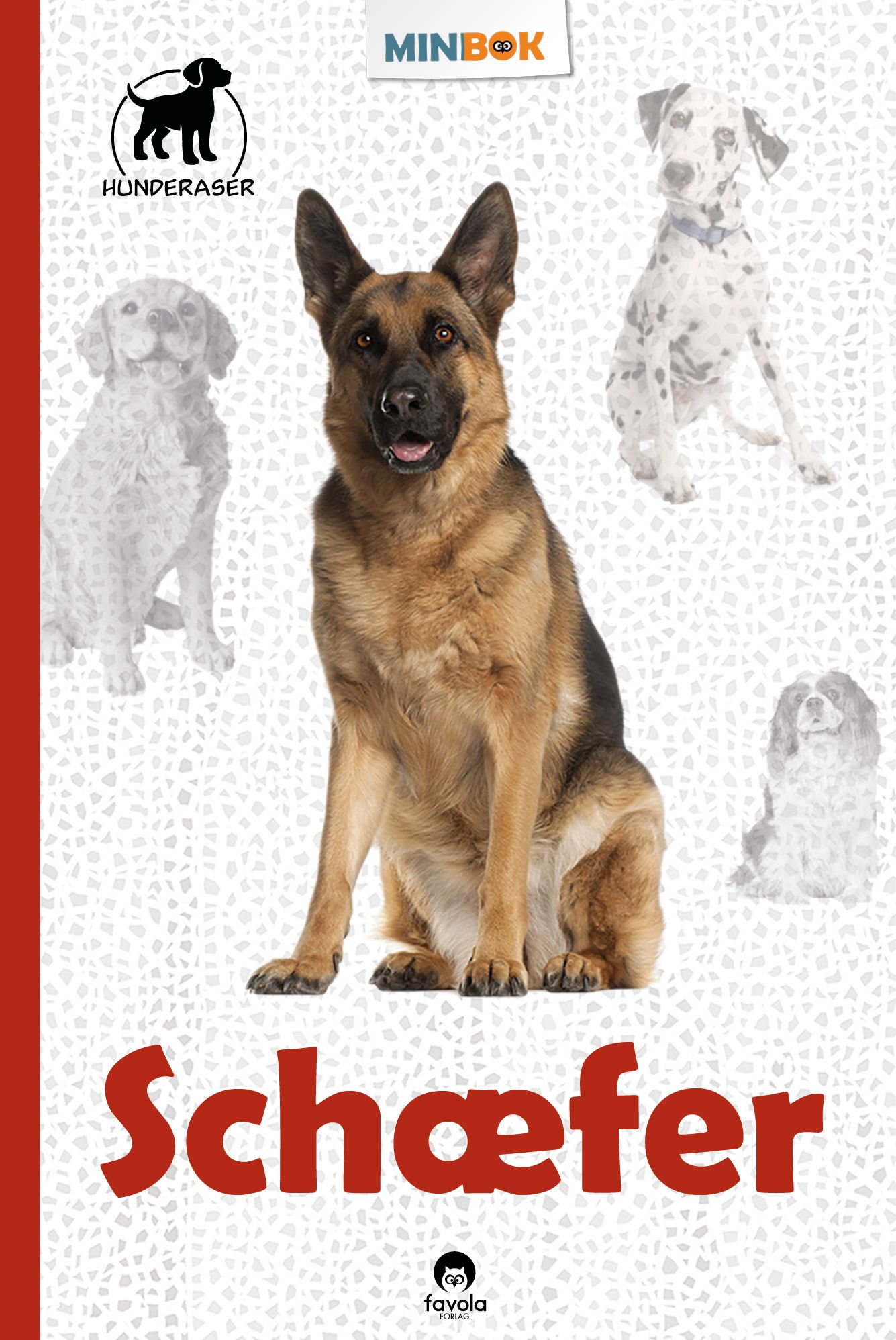 Schæfer