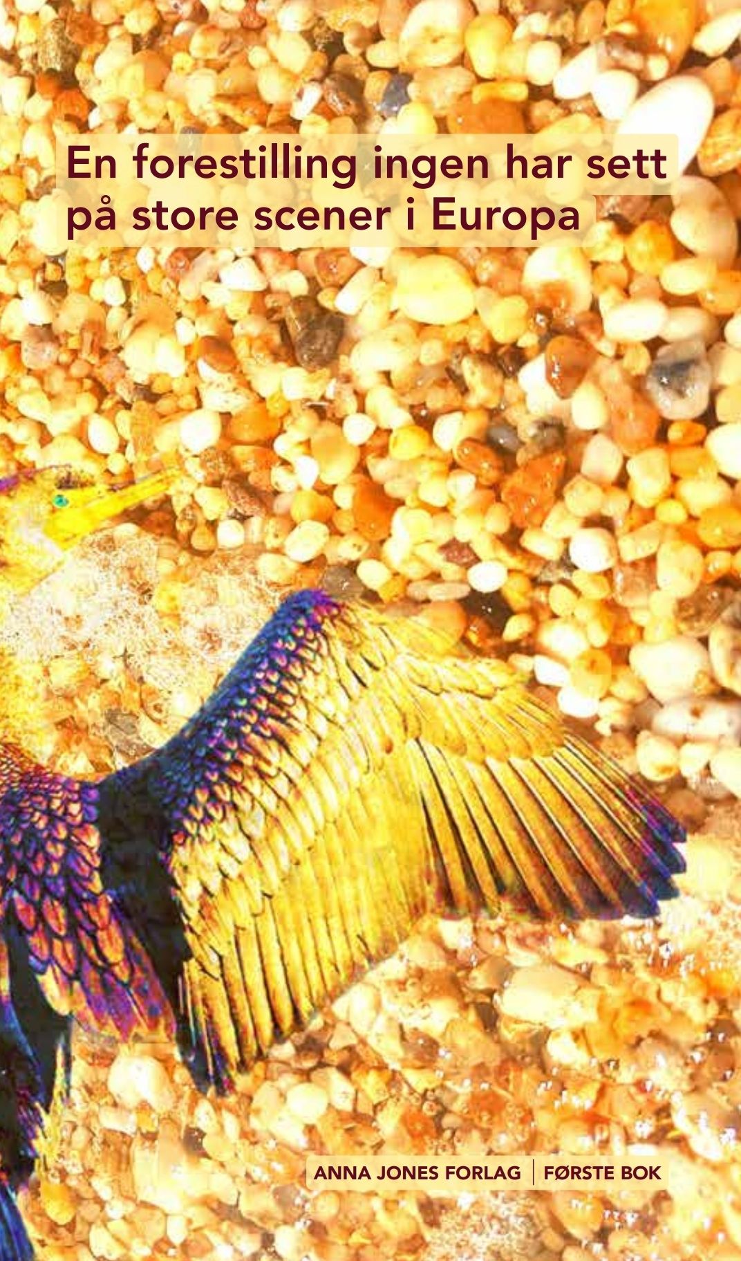 En forestilling ingen har sett på store scener i Europa - Første del : et dikt i tre deler