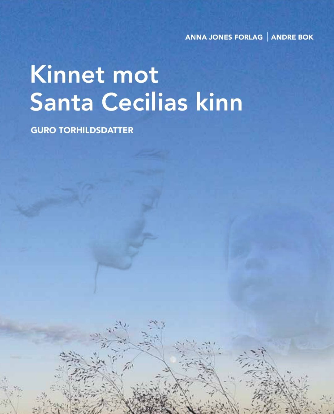 Kinnet mot Santa Cecilias kinn