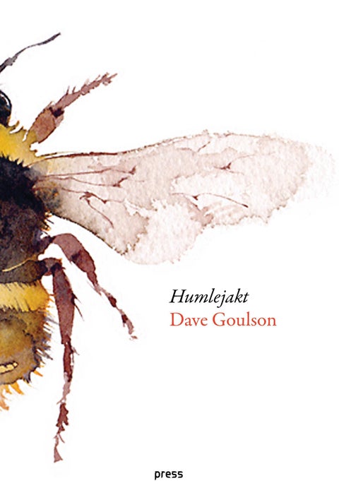 Humlejakt - på leting etter sjeldne humler