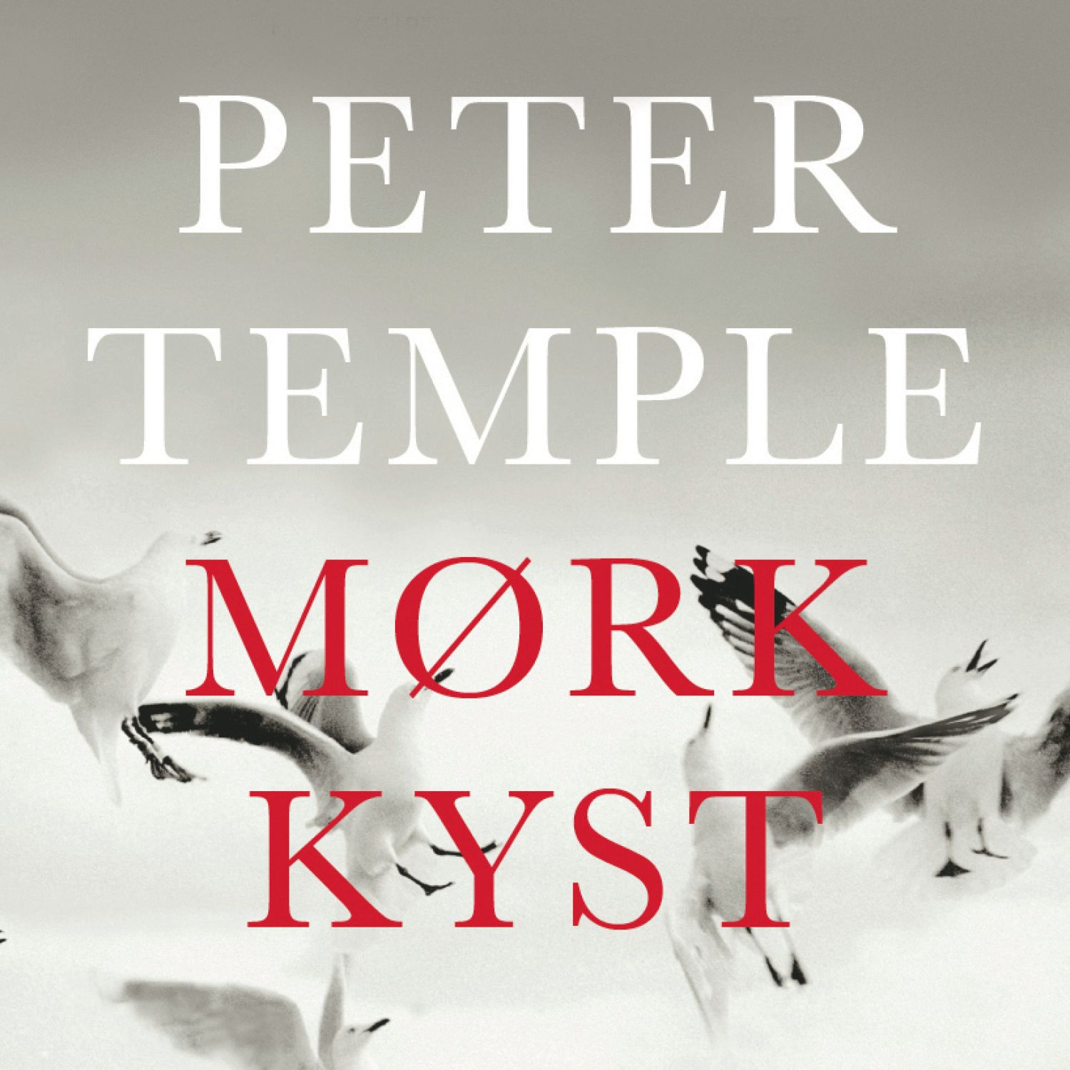 Mørk kyst
