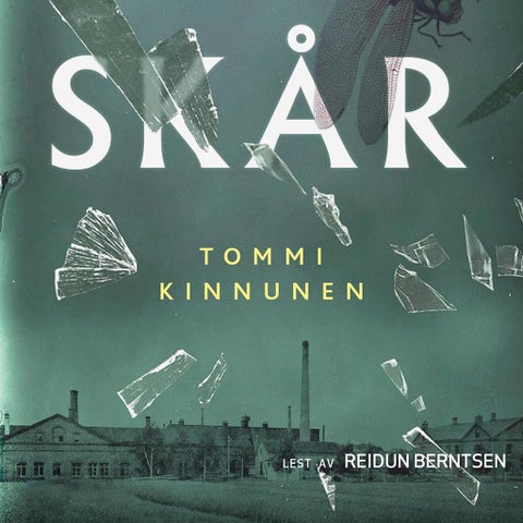Skår - tredagersroman