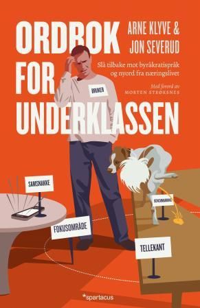 Ordbok for underklassen