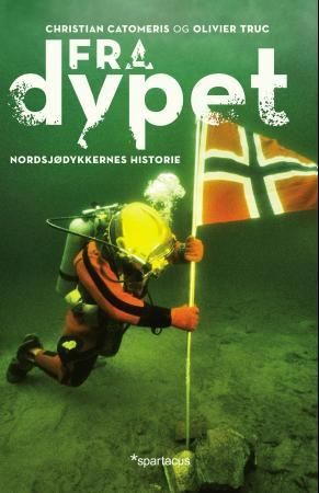 Fra dypet - nordsjødykkernes historie