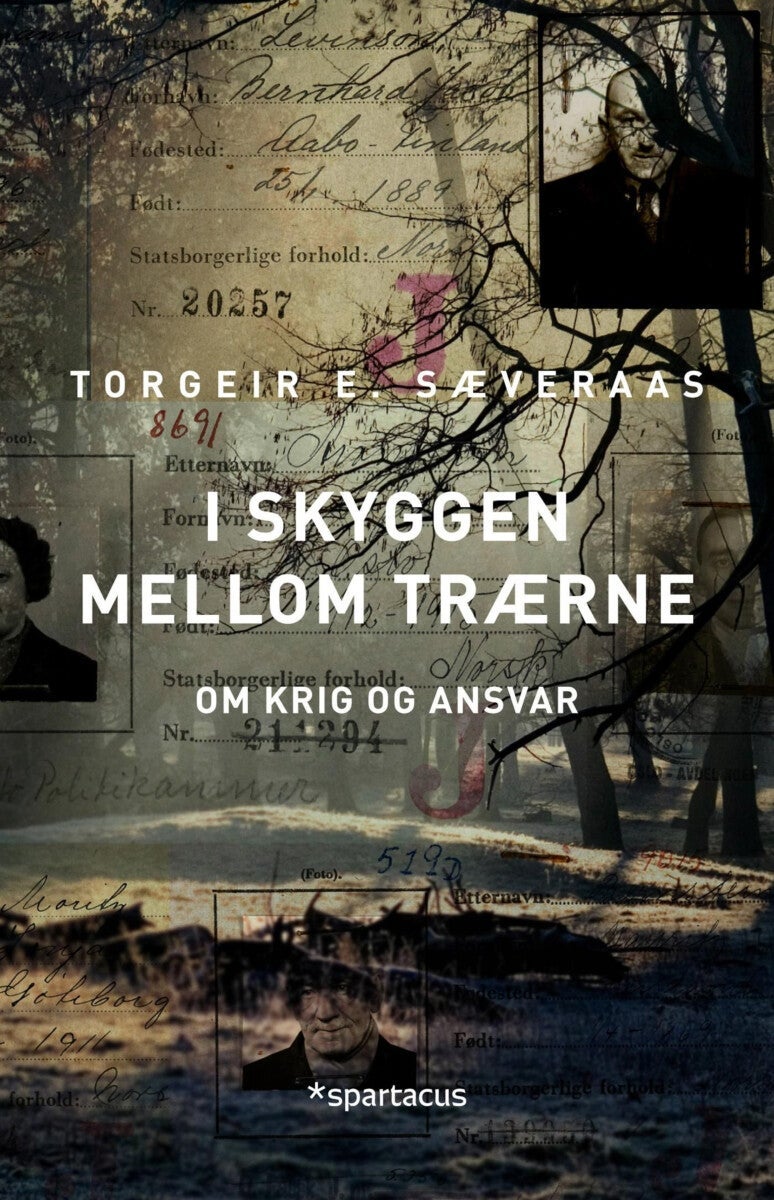 I skyggen mellom trærne