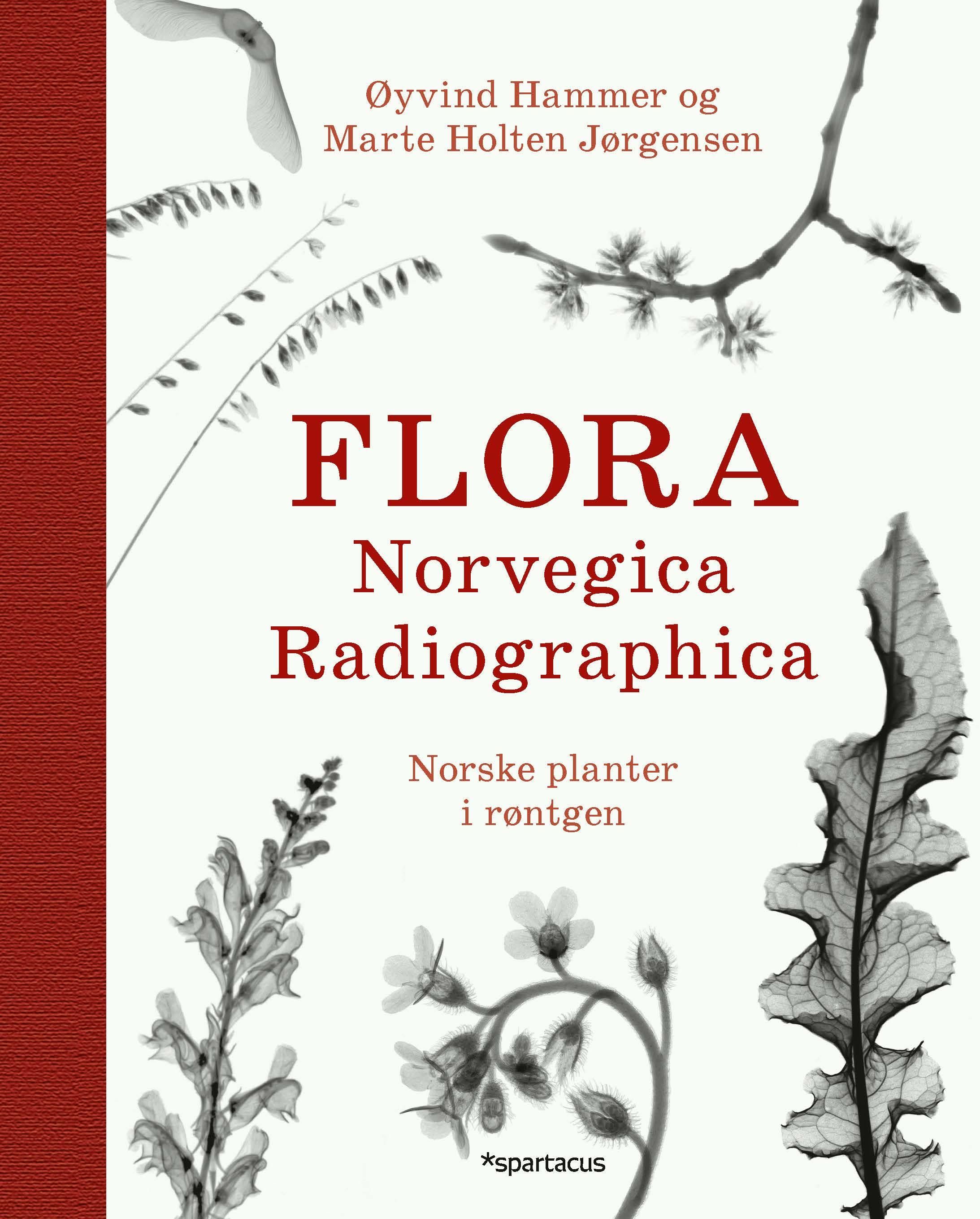 Flora Norvegica Radiographica - norske planter i røntgen