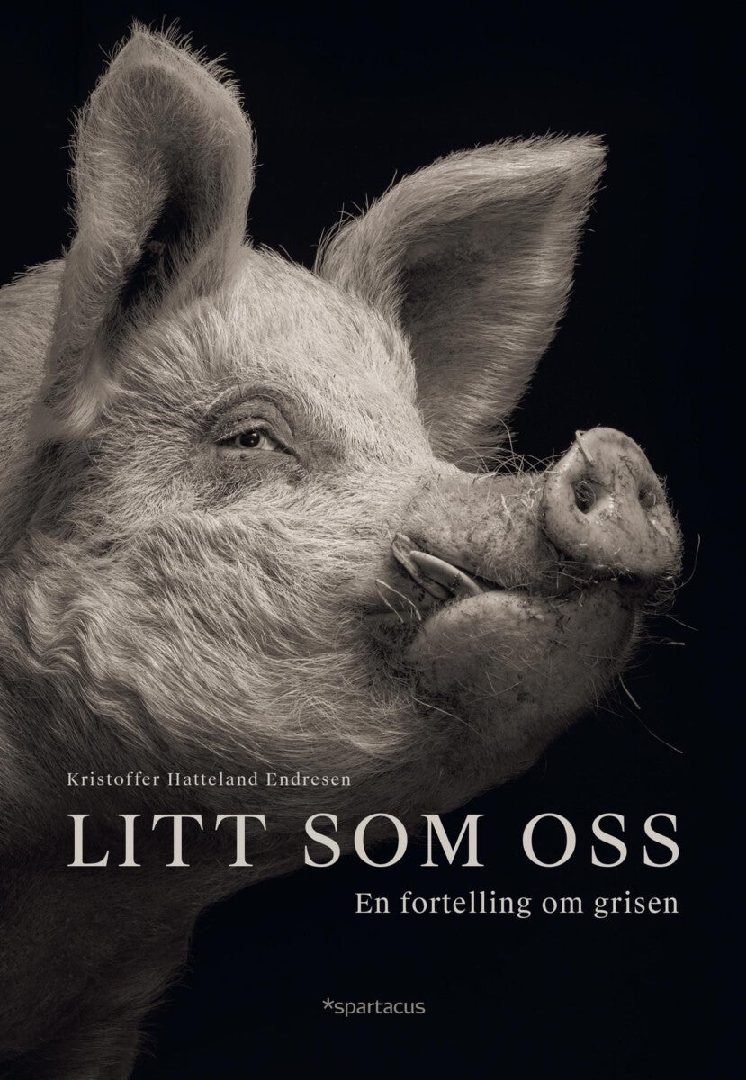 Litt som oss