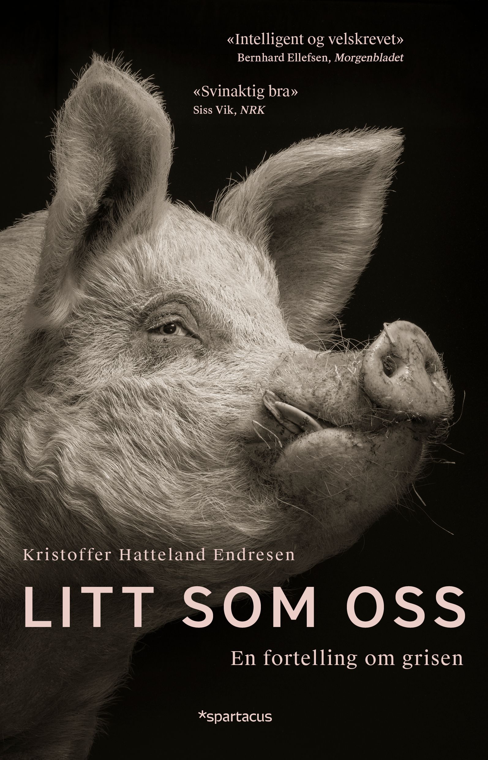 Litt som oss - en fortelling om grisen