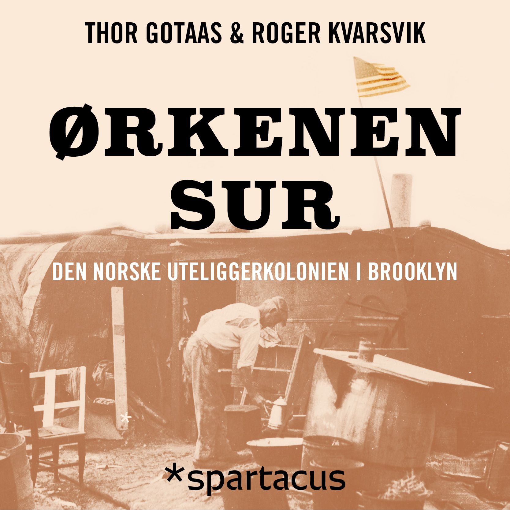 Ørkenen Sur - den norske uteliggerkolonien i Brooklyn