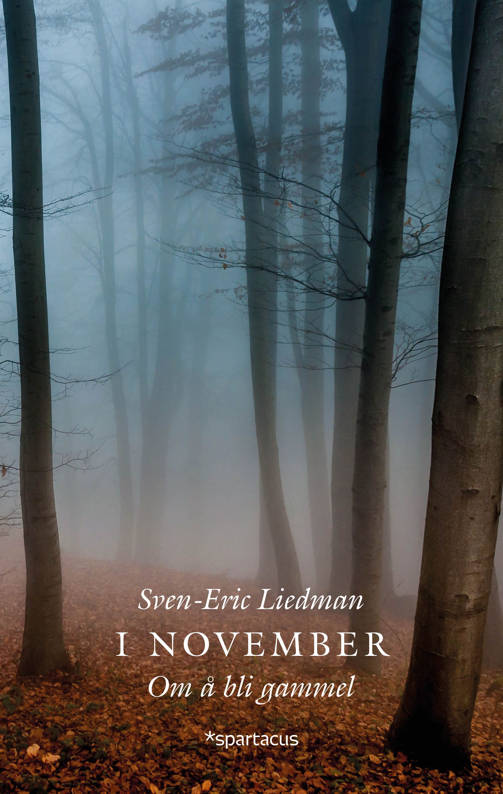 I november - om å bli gammel