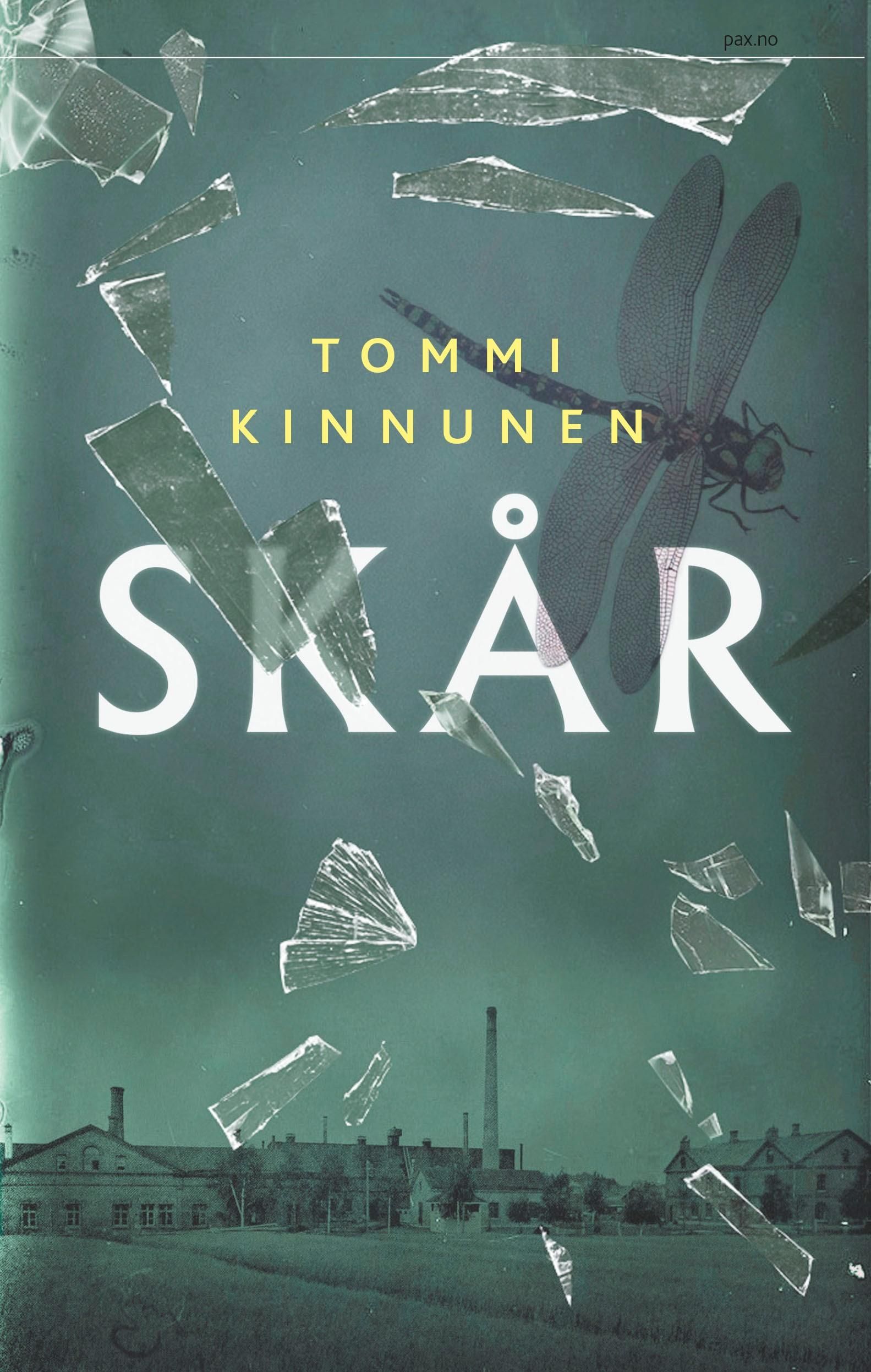 Skår - tredagersroman