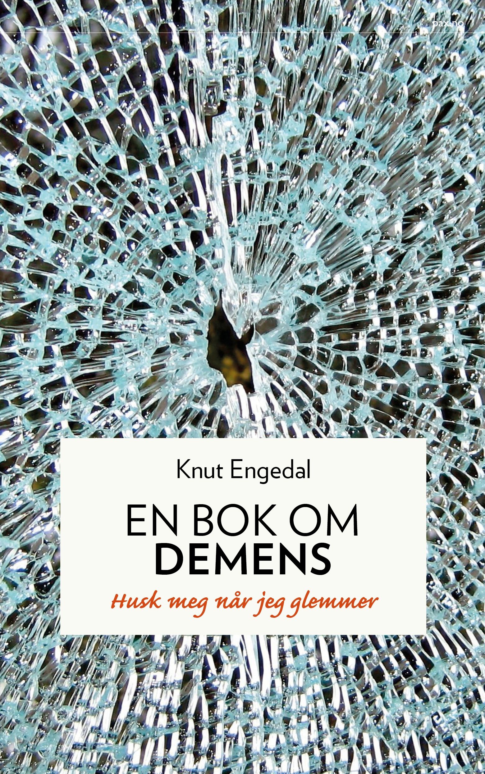 En bok om demens - husk meg når jeg glemmer