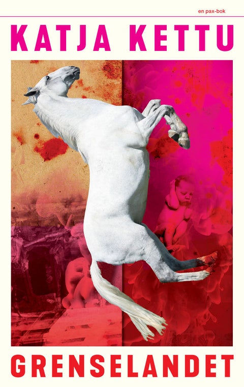 Grenselandet - roman