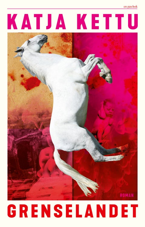 Grenselandet - roman