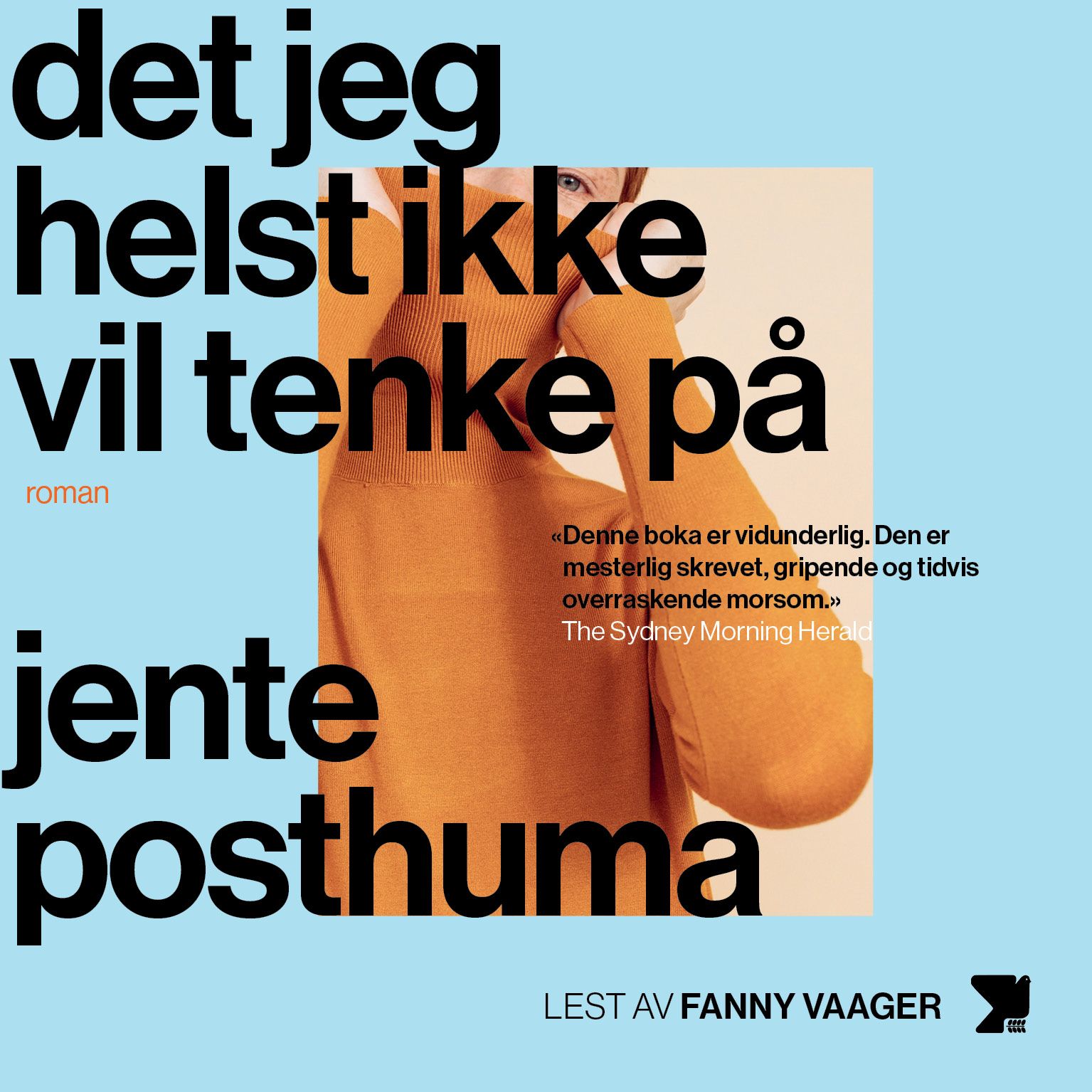 Det jeg helst ikke vil tenke på - roman