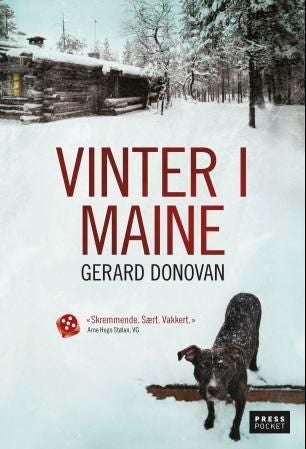 Vinter i Maine - roman