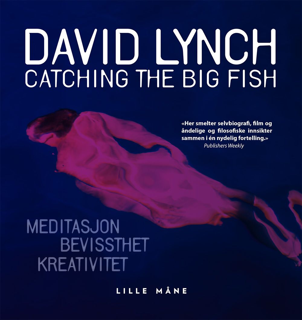 Catching the big fish - meditasjon, bevissthet og kreativitet