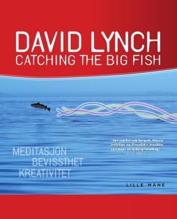 Catching the big fish - meditasjon, bevissthet og kreativitet