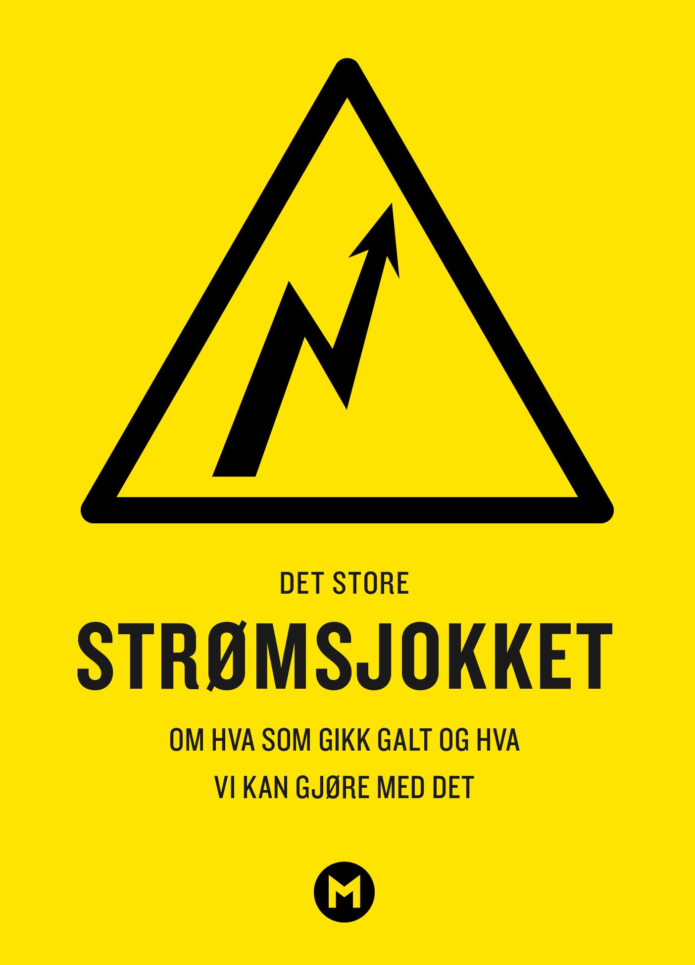 Det store strømsjokket - om hva som gikk galt og hva vi kan gjøre med det