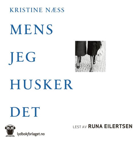 Mens jeg husker det - roman