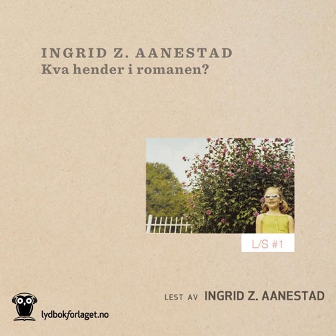 Kva hender i romanen?