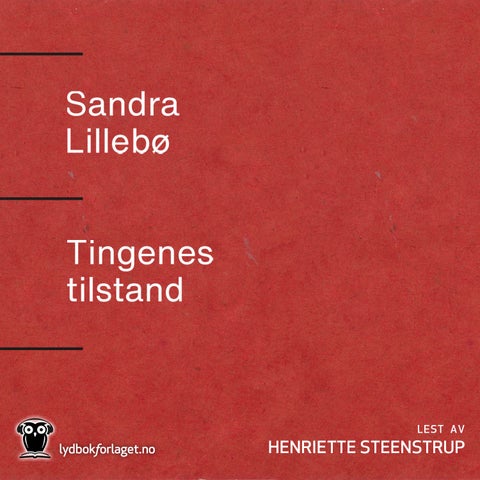 Tingenes tilstand - roman