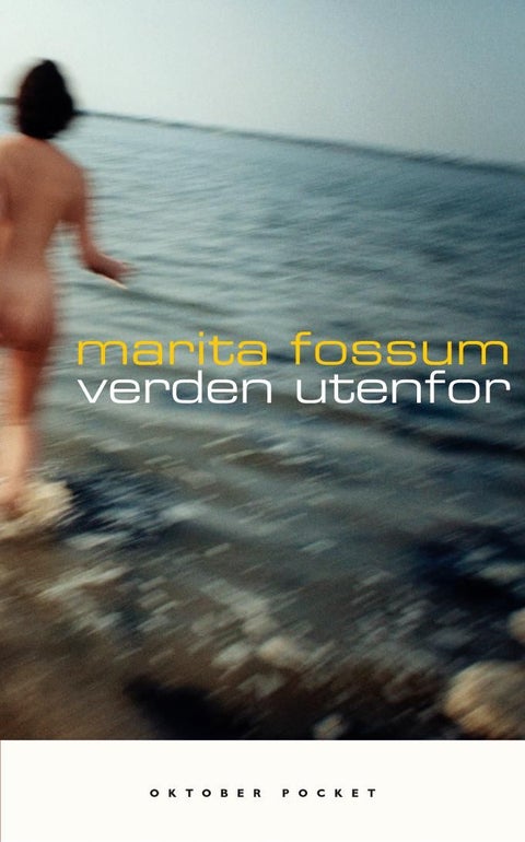 Verden utenfor - roman