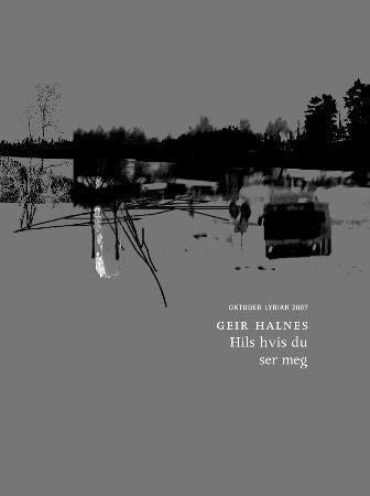 Hils hvis du ser meg - dikt