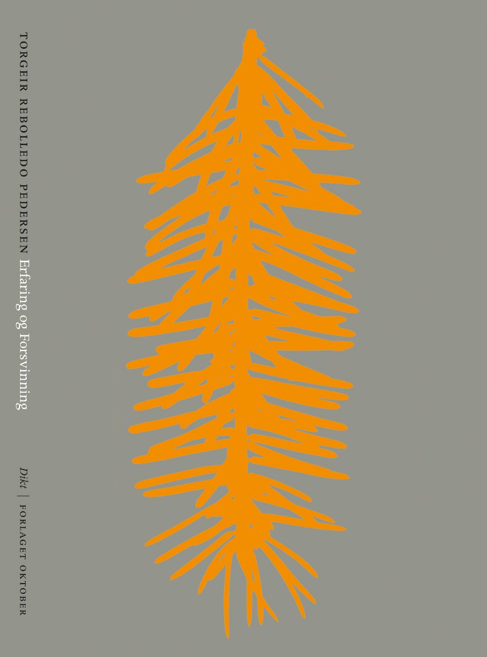 Erfaring og forsvinning - dikt