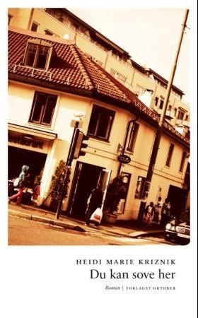 Du kan sove her - roman