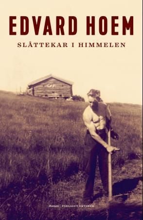 Slåttekar i himmelen - roman